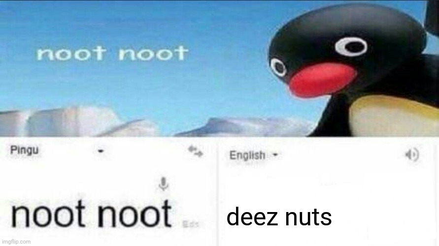 Translate noot noot into english and Will Deez will give you deez nuts
