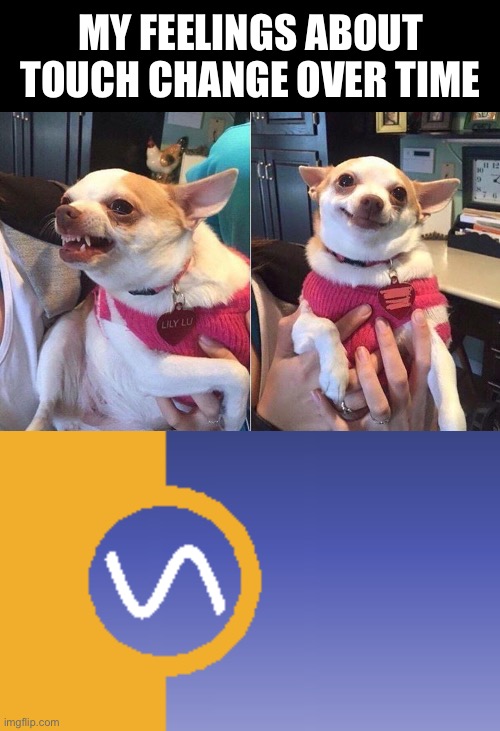 Lily is a touchoscillating dog Imgflip