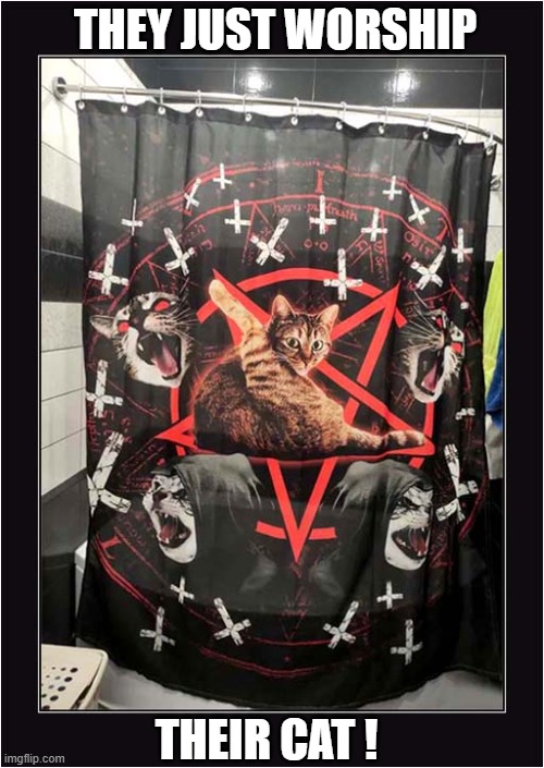 Satanic Cat Shower Curtain ! Imgflip