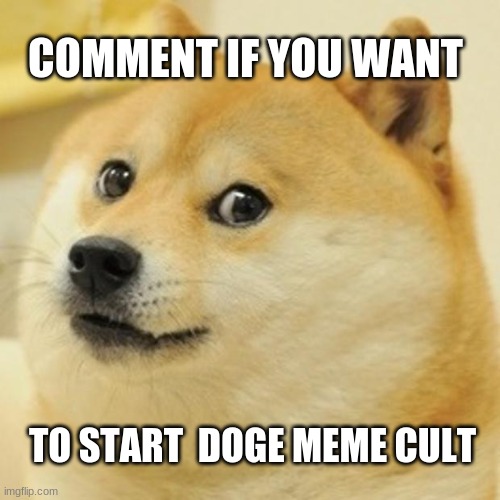 DOGE CULT (YAY!) Imgflip