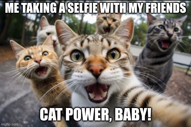 Cats Is Me - Imgflip