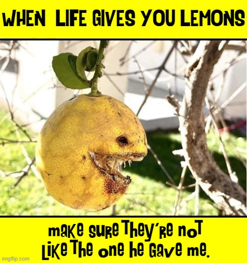 Image tagged in vince vance,lemons,memes,cursed image,when life gives