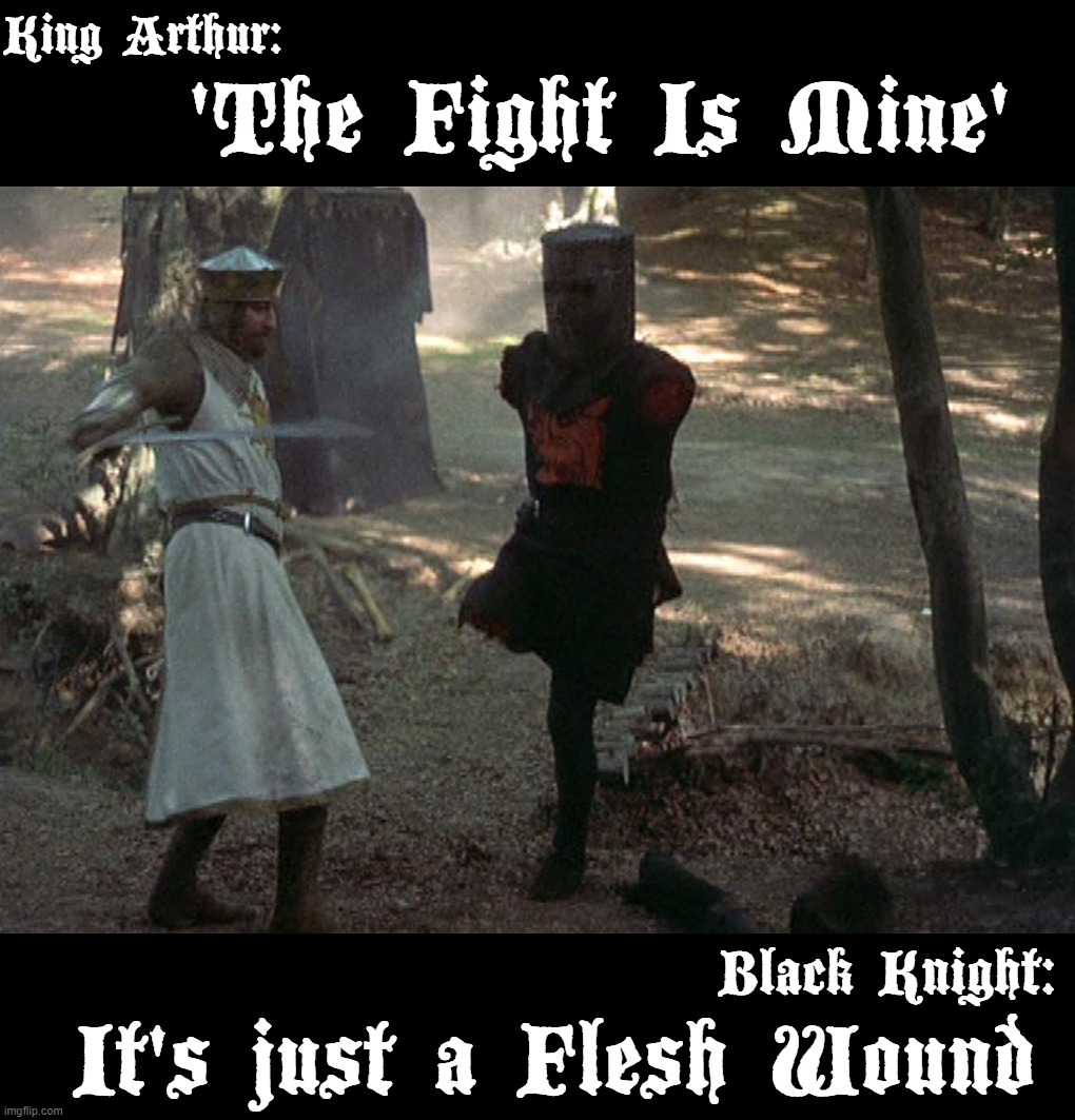 JUST A FLESH WOUND - Imgflip