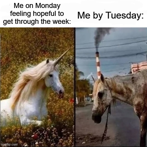My week be like Imgflip