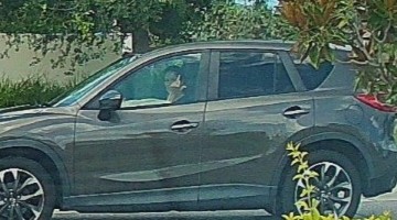 Dude I saw your mom... Blank Template - Imgflip