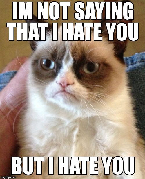 grumpy cat i hate you 28 images i hate grumpy cat memes, image
