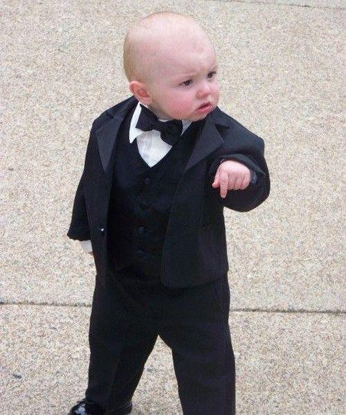baby tuxedo Memes Imgflip