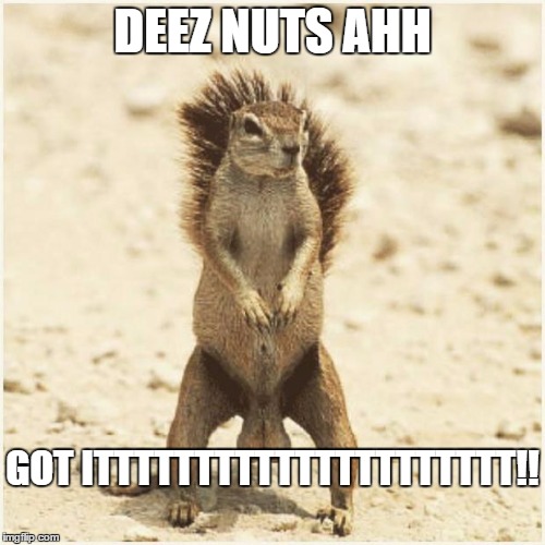 deez nuts meme Free Large Images