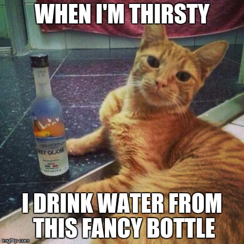 I don't always have vodka Imgflip
