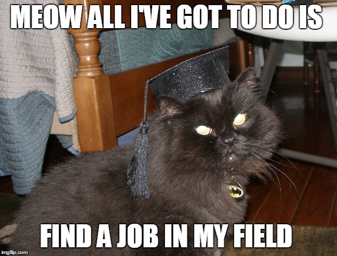 College Cat Imgflip