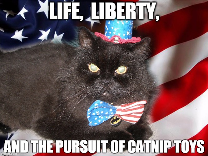 AmeriCat's favorite day Imgflip