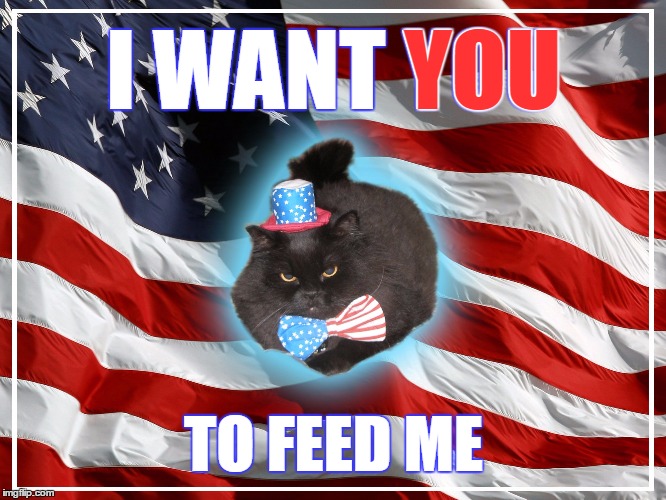 AmeriCat wants you! Imgflip