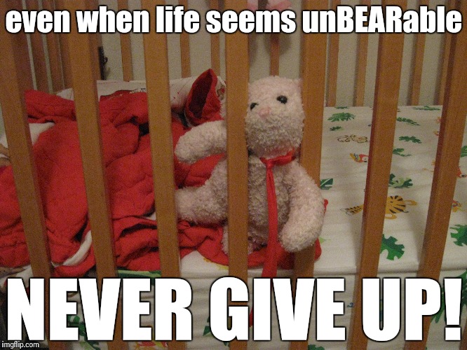 Image tagged in teddy,bear,original meme,meme,never give up,funny Imgflip