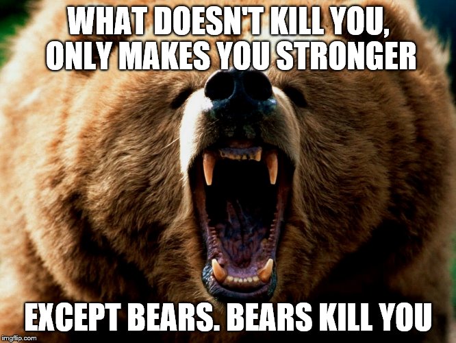 Image tagged in grizzly Imgflip