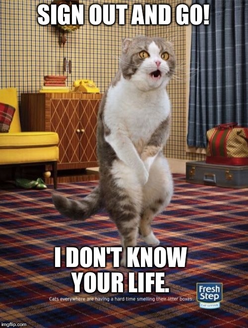 Gotta Go Cat Meme Imgflip