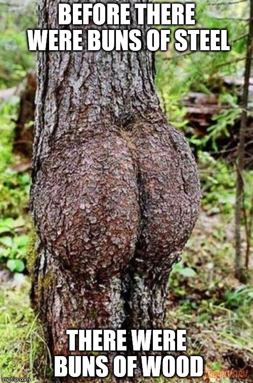 Sexy Tree Imgflip