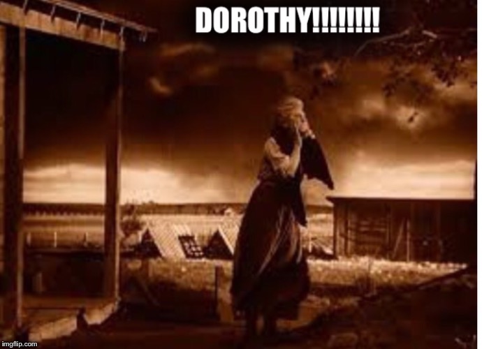 Dorothy Imgflip