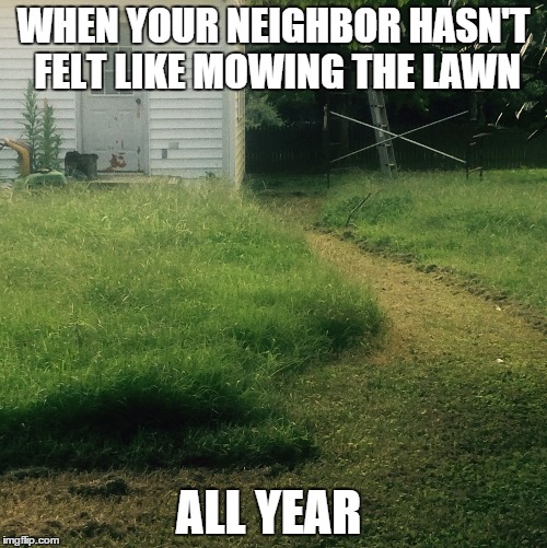 Bad Neighbor Imgflip
