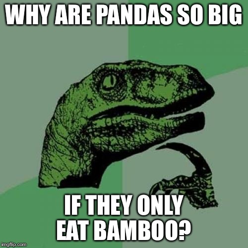 Philosoraptor Meme Imgflip