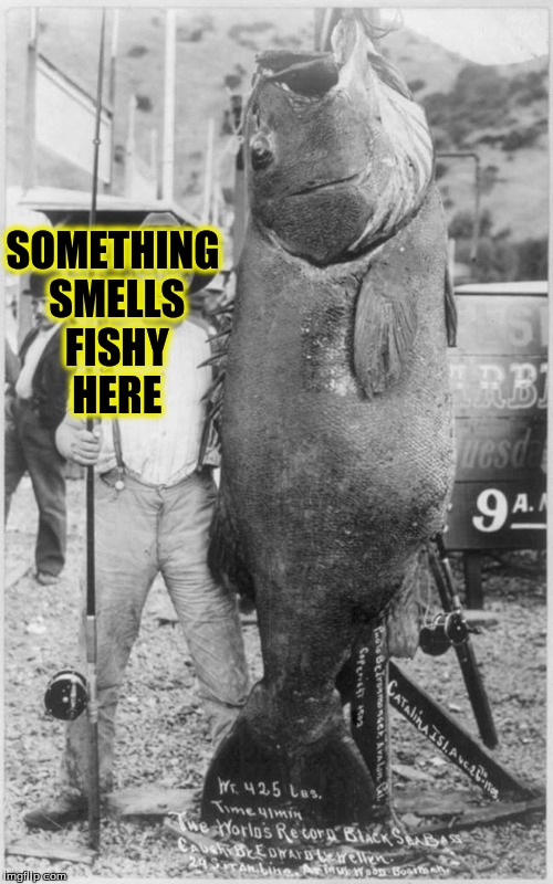 fishy smells Imgflip