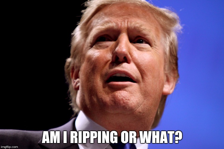 Donald Trump Is He Ripping or What? Imgflip