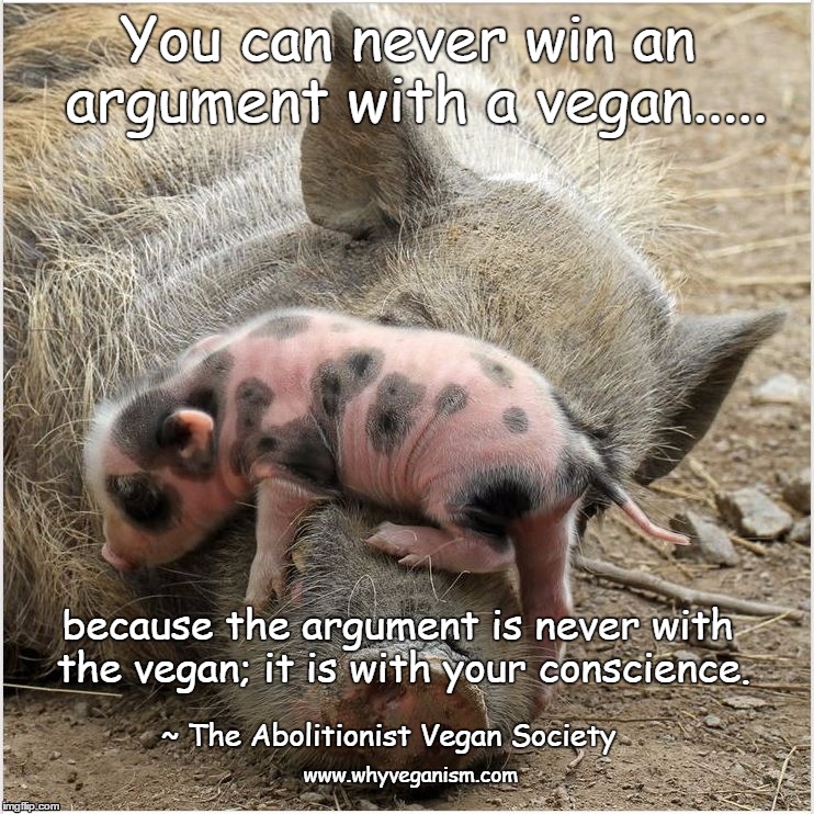 vegan, veganism Imgflip