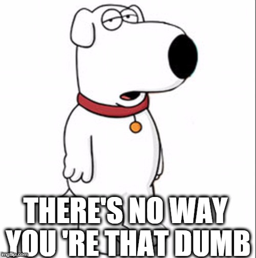 Brian the Dog Imgflip
