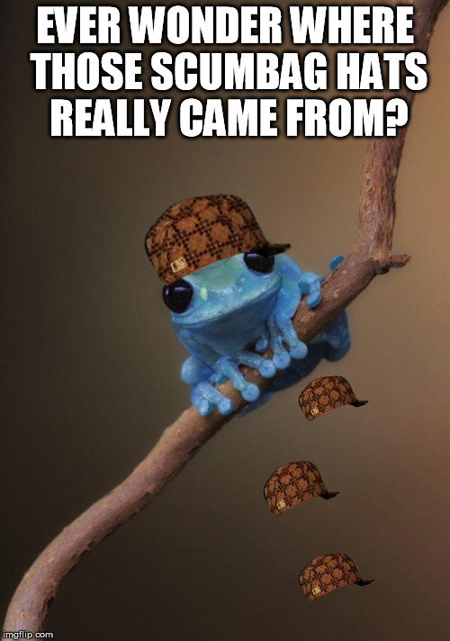 Scumbag frog Imgflip