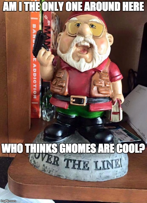 Image tagged in am i the only gnome around here Imgflip