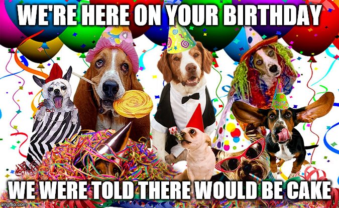 Birthday Imgflip