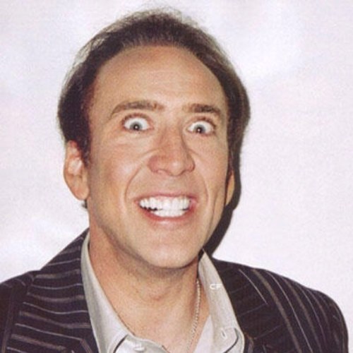Nicolas Cage Memes Imgflip