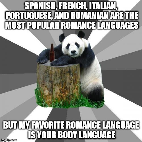 Pickup Line Panda Meme Imgflip