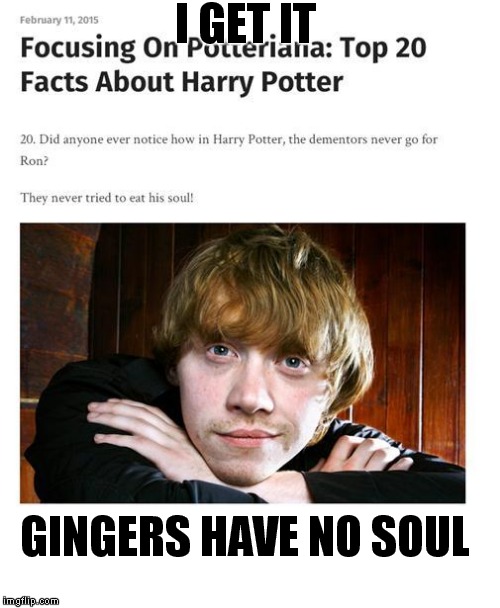 Ginger Imgflip