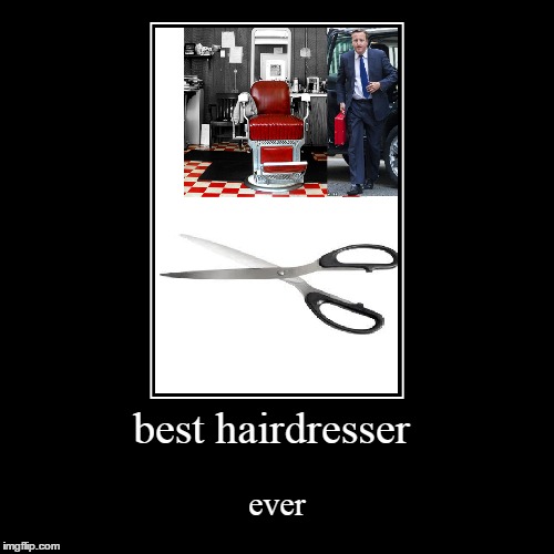 best hairdresser Imgflip