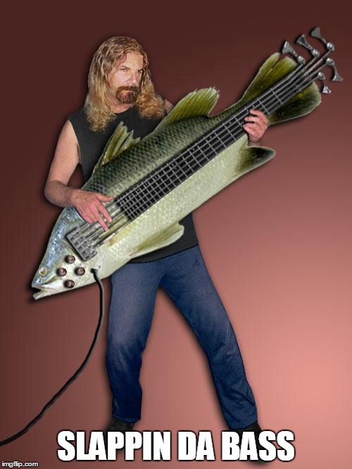 Fish Guitar Imgflip