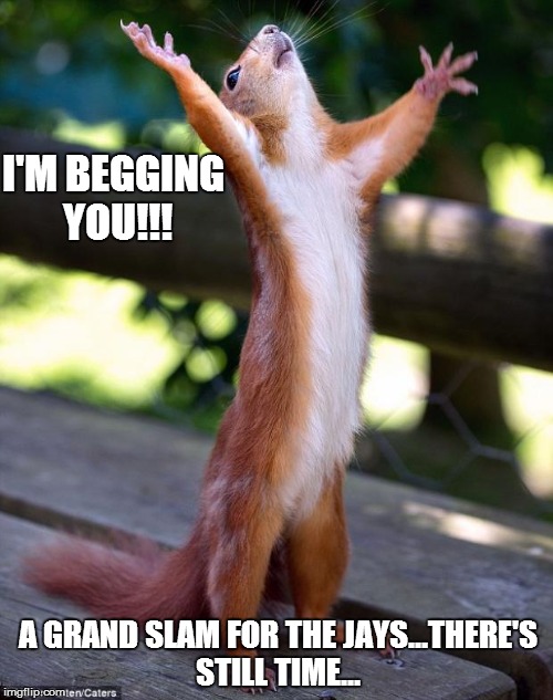 Praying Squirrel Imgflip
