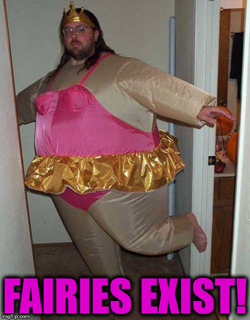 Image tagged in fairies exist Imgflip