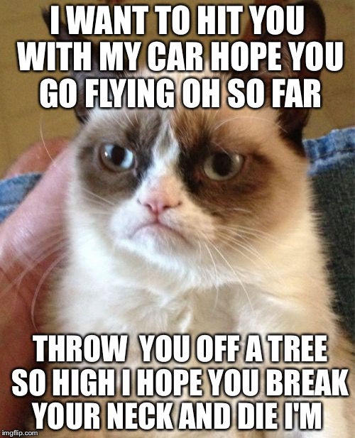 Grumpy Cat Meme Imgflip