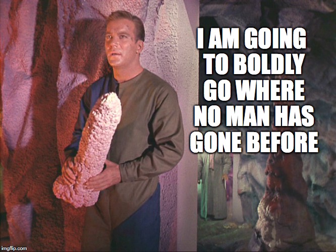 boldly going Imgflip