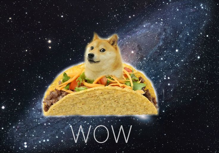 Space doge Blank Template Imgflip