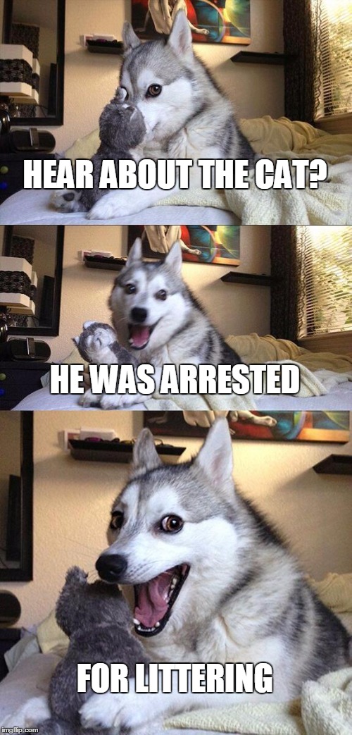 Go to bed dog, you're drunk Imgflip