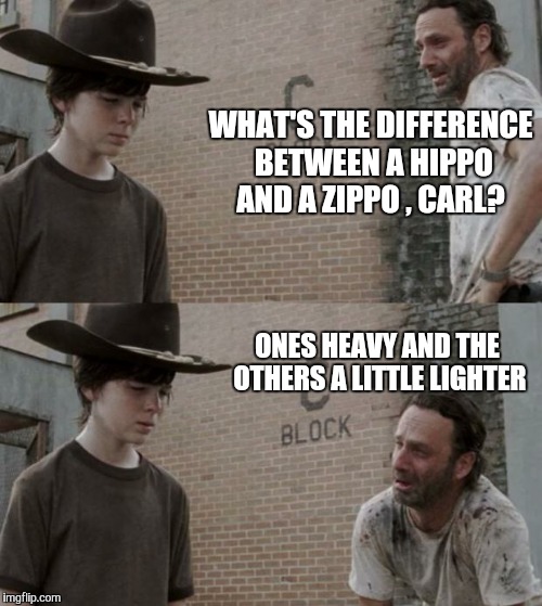 Rick and Carl Memes Imgflip