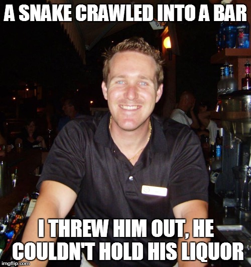 A snake crawled into a bar Imgflip