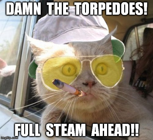 Fear And Loathing Cat Meme Imgflip