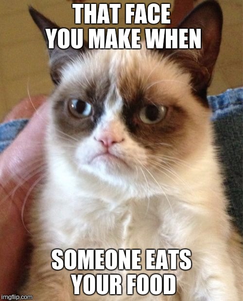 Grumpy Cat Meme Imgflip
