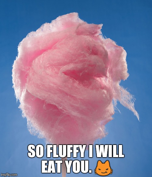cotton candy Imgflip