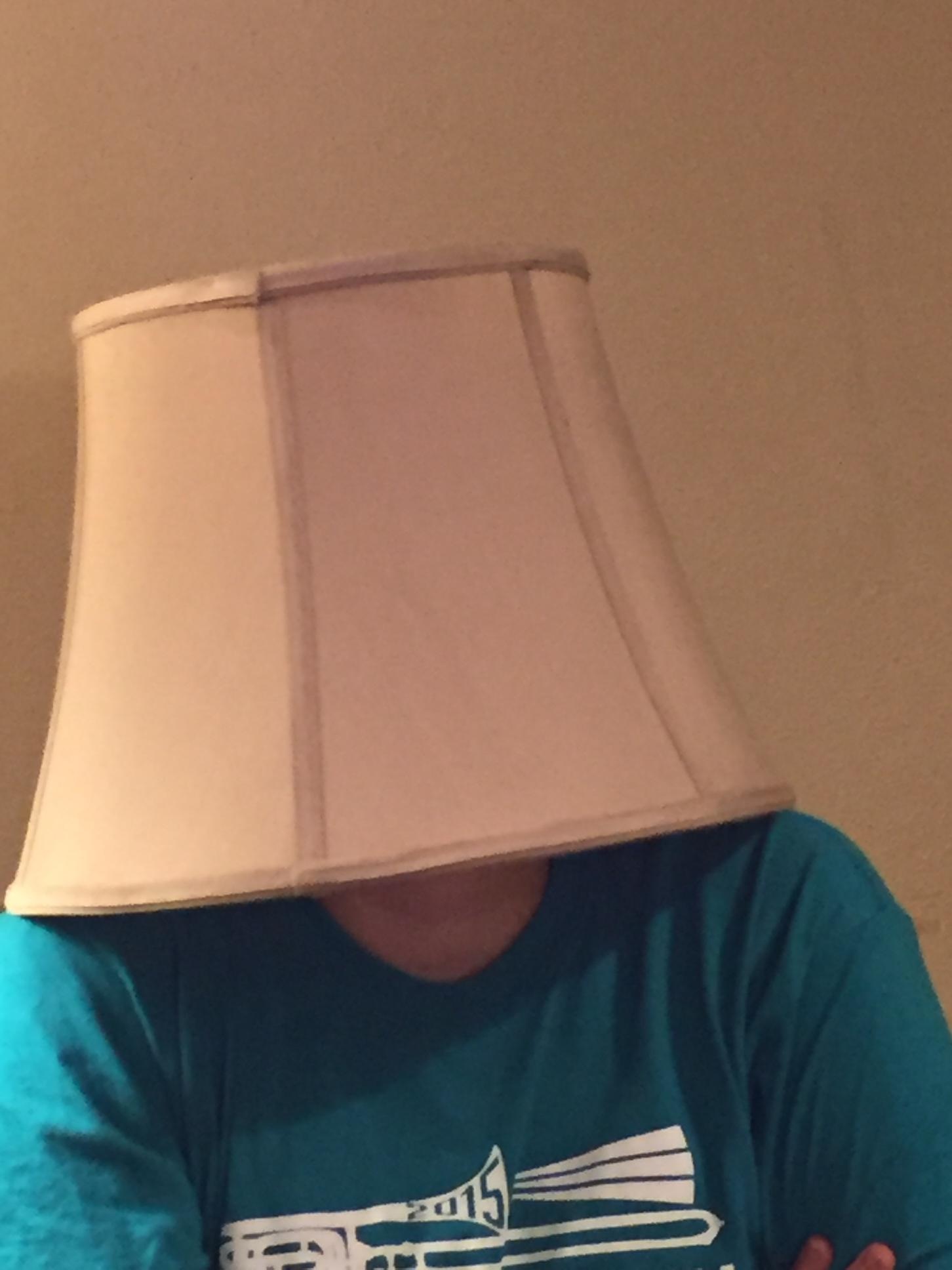 Lampshade of Disapproval Memes Imgflip