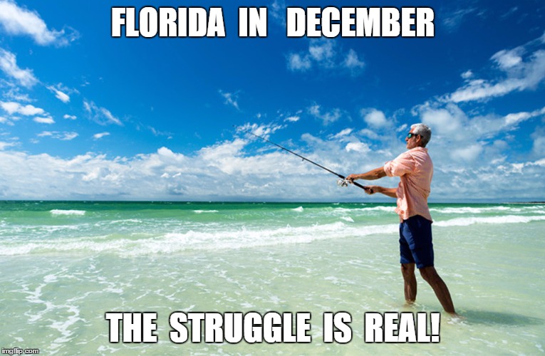 Florida in December Imgflip