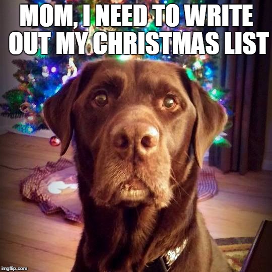 29+ Funny Dog Xmas Memes Factory Memes