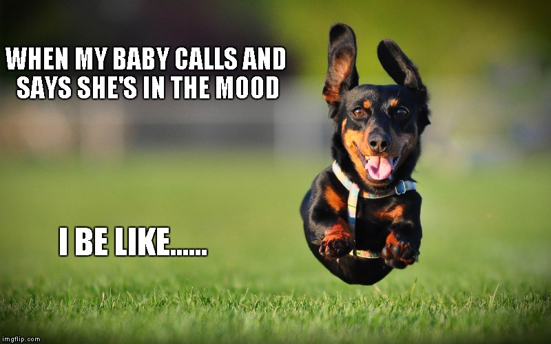 To quote Bruce Hornsby..."That's just the way it is, some things will